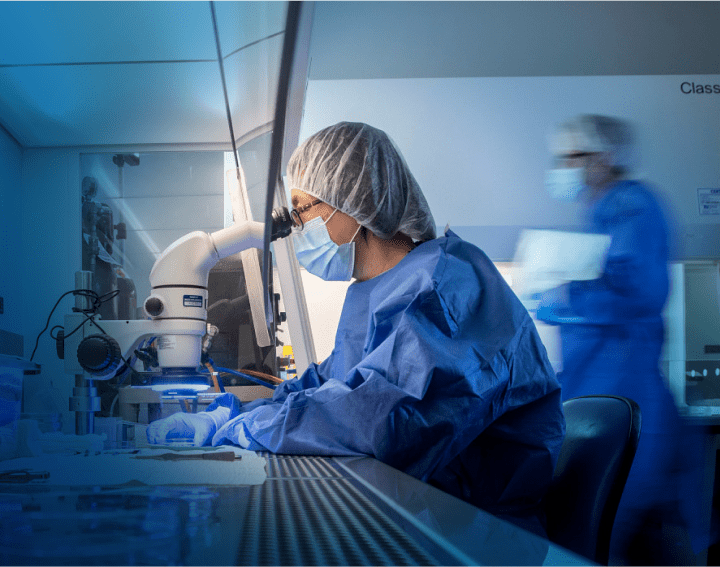 Charles River laboratóriumi szakember, a legmodernebb laboratóriumi környezetben, mikroszkóppal dolgozik.
