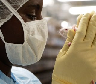 Close-up of a masked Charles River animal care professional looking face-to-face at a mouse